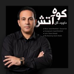 دانلود آهنگ داوود گل کوه آتش با کیفیت 320